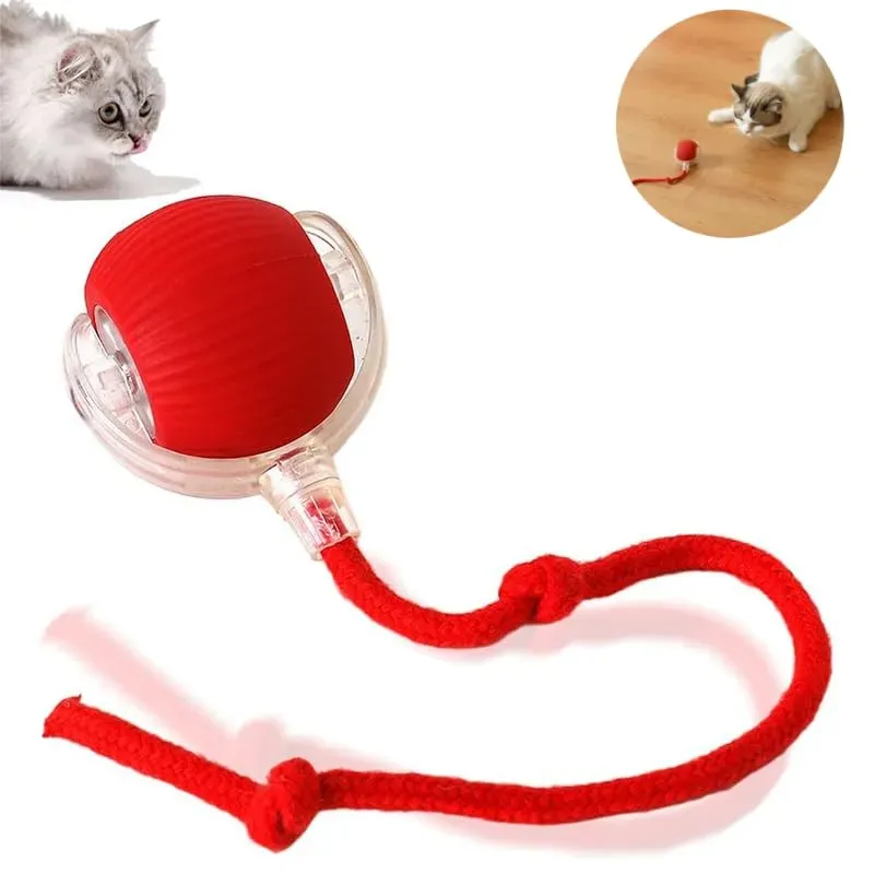 Amazing Amazon Cat Toys Best Sellers for Playtime