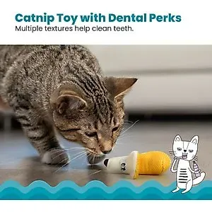 The Best Cat Dental Toys: Vet-Approved Choices