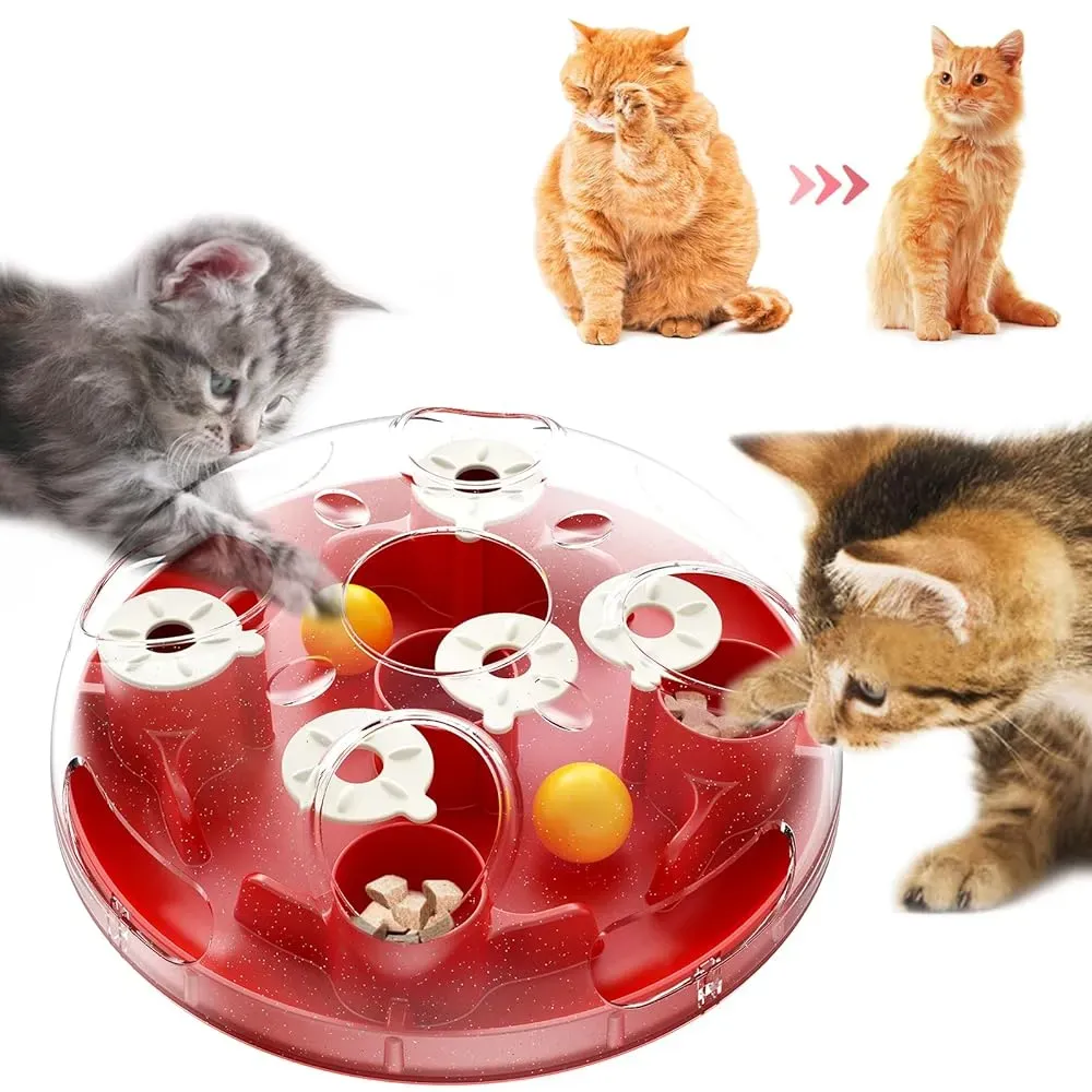 Amazing best cat puzzle toys for mental stimulation