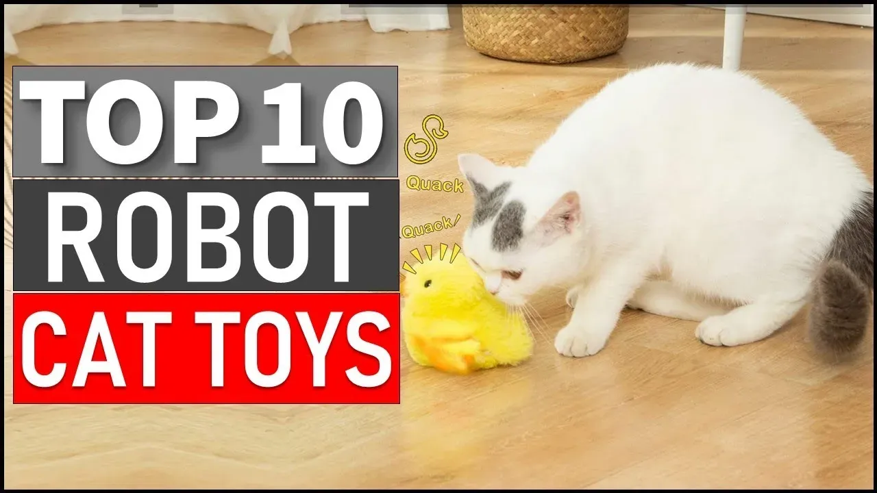 Essential best cat robot toy Picks Your Cat Will Love