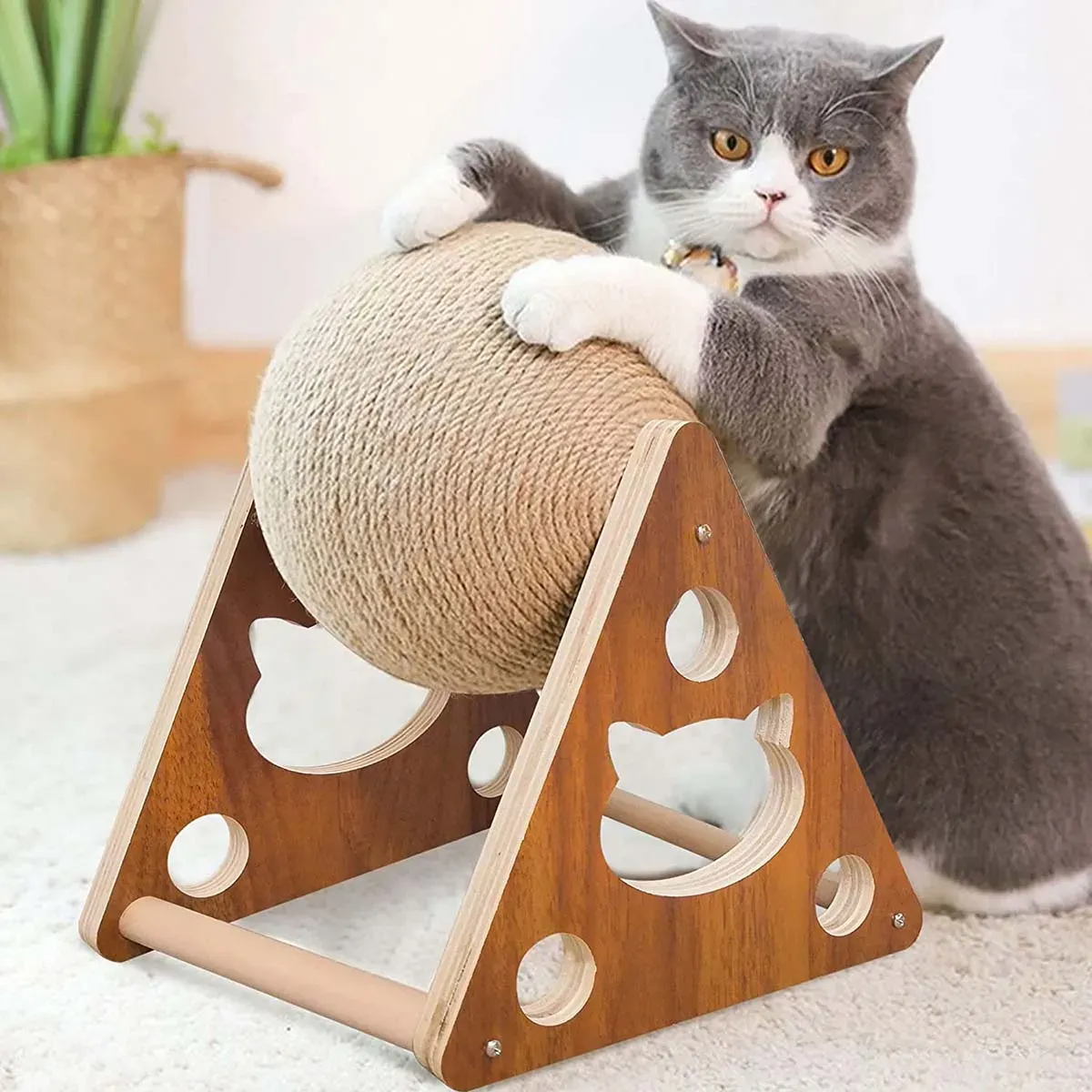 Proven picks: Your guide to the best cat scratching toys