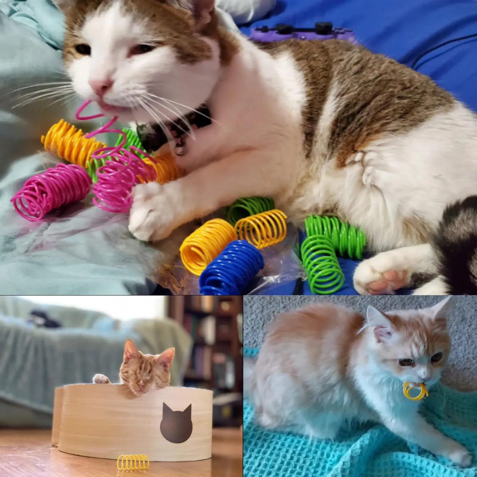 Absolute best cat spring toys for feline fun