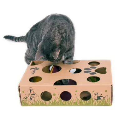 Discover the Absolute Best Cat Toy Ever for Your Feline