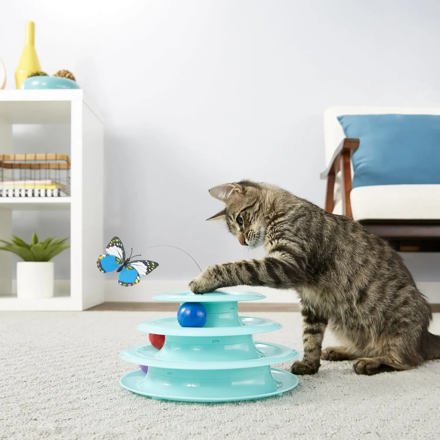 Discover The Absolute Best Cat Toy For Bored Cats Now