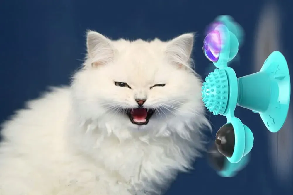 Your Essential Guide to the Absolute Best Cat Toys Amazon
