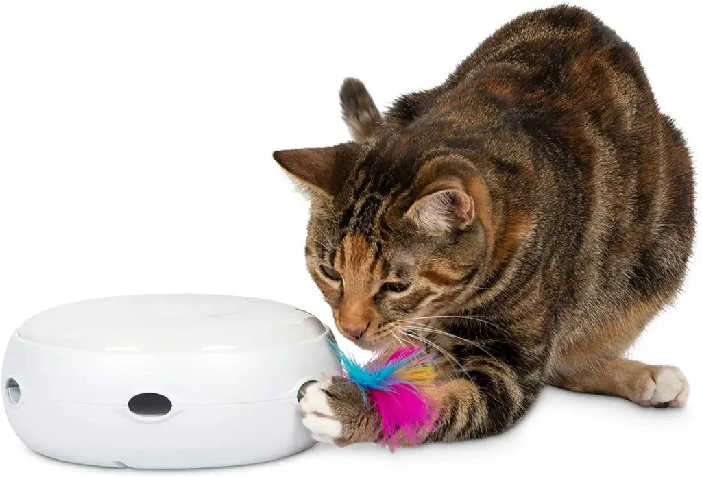 Ultimate best electronic interactive cat toys: Playtime sorted