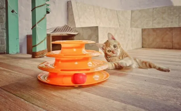 Best Interactive Cat Toys for Bored Cats: Ultimate Fun