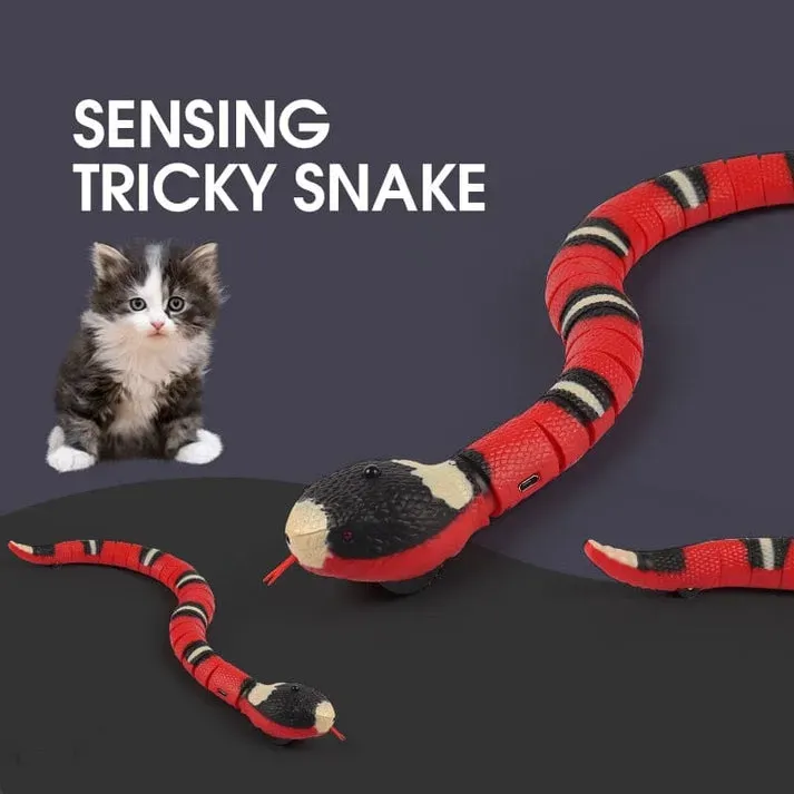Beyond the Ball: Why Cats Crave Interactive Prey
