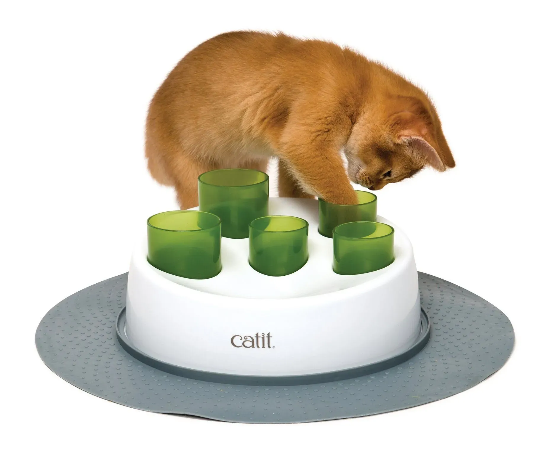 Beyond the Bowl: Why Your Cat Needs an Interactive Feeder