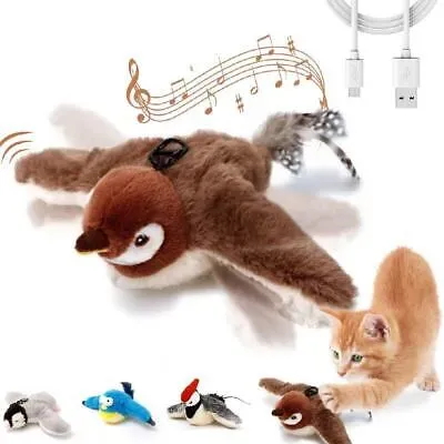 Beyond the Box: Using Your eBay Interactive Cat Toys