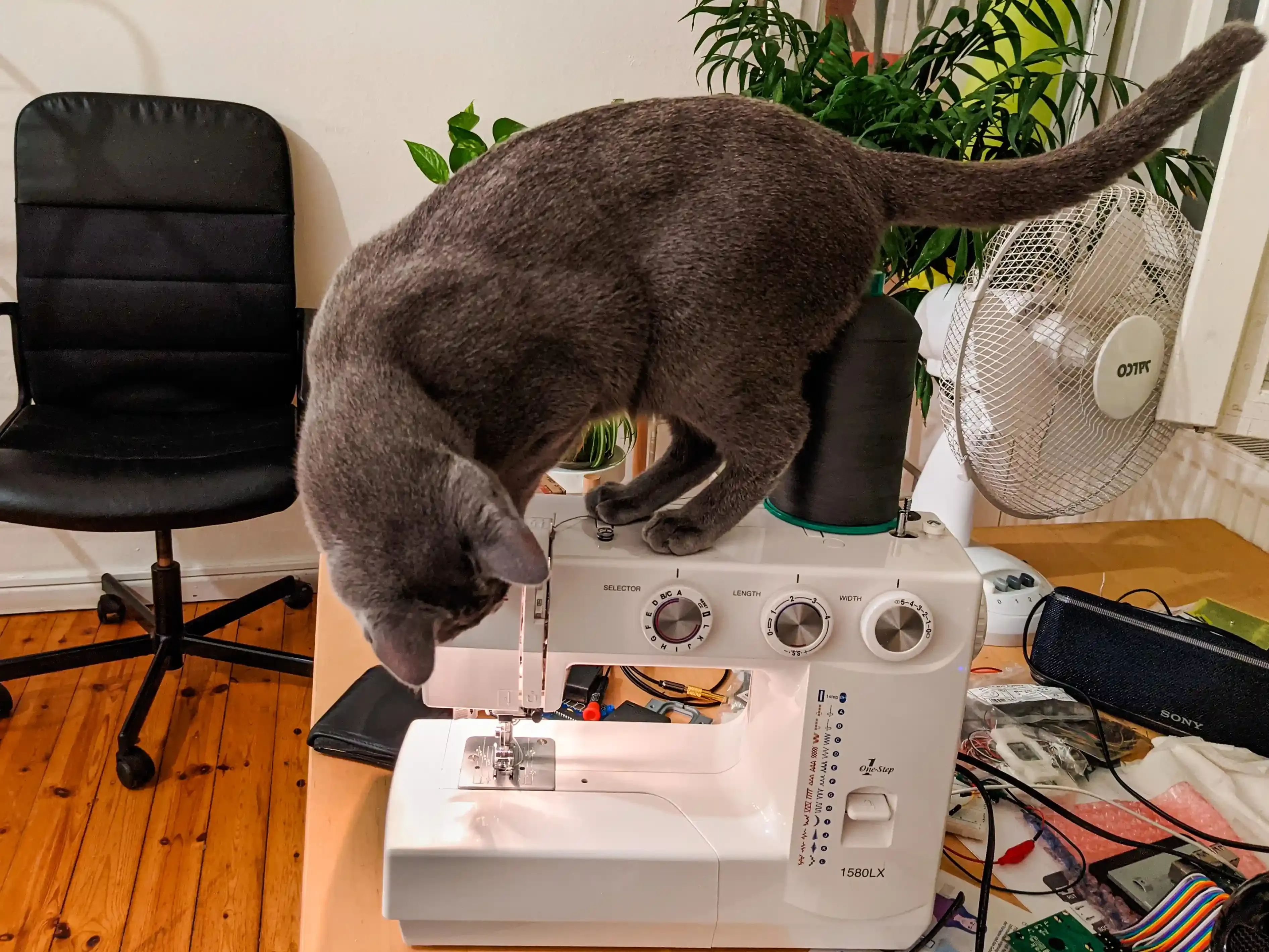 Beyond the Hype: What Really Matters When Choosing Cat Toys in 2022