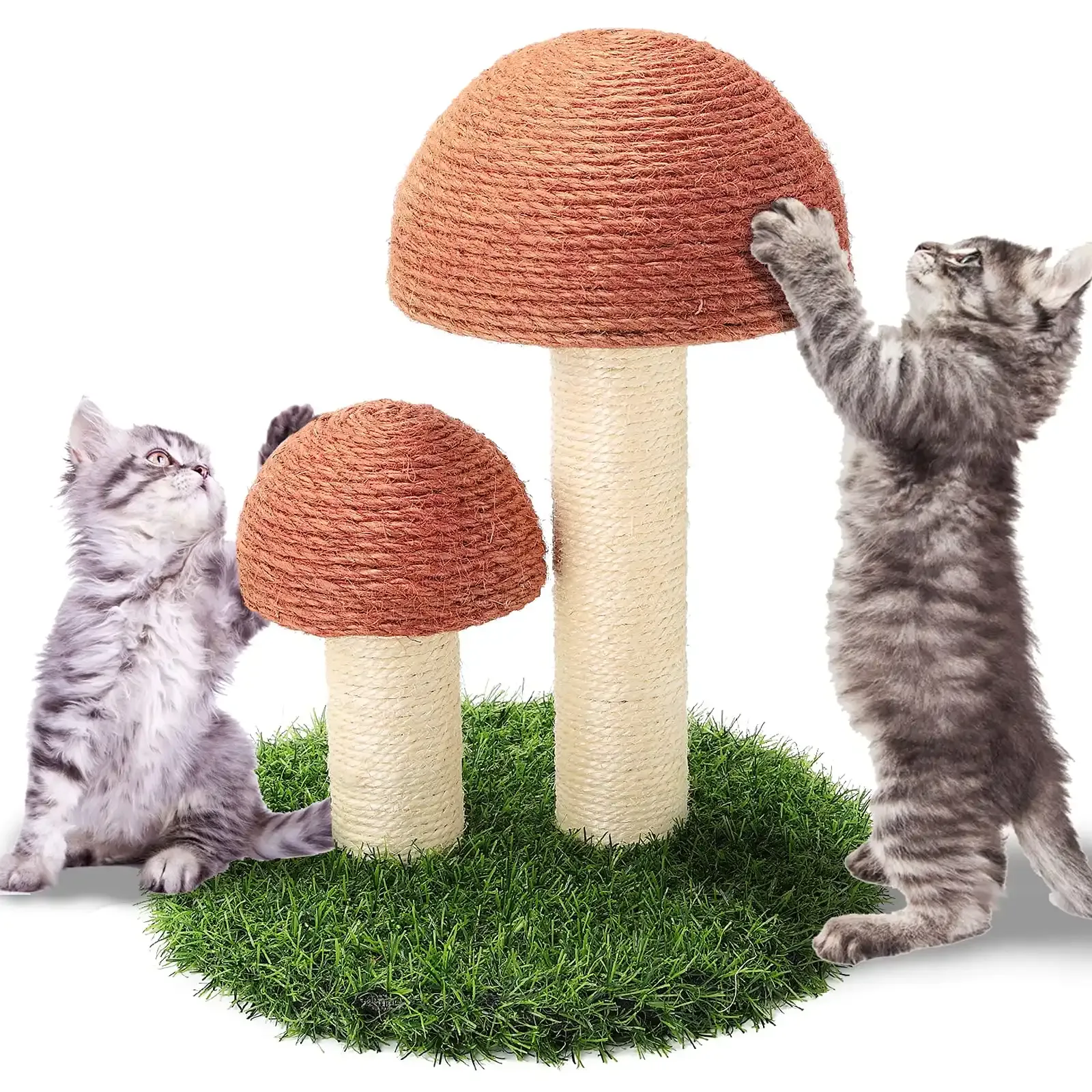 Beyond the mushroom: Combining your interactive cat toy with other Senses fun