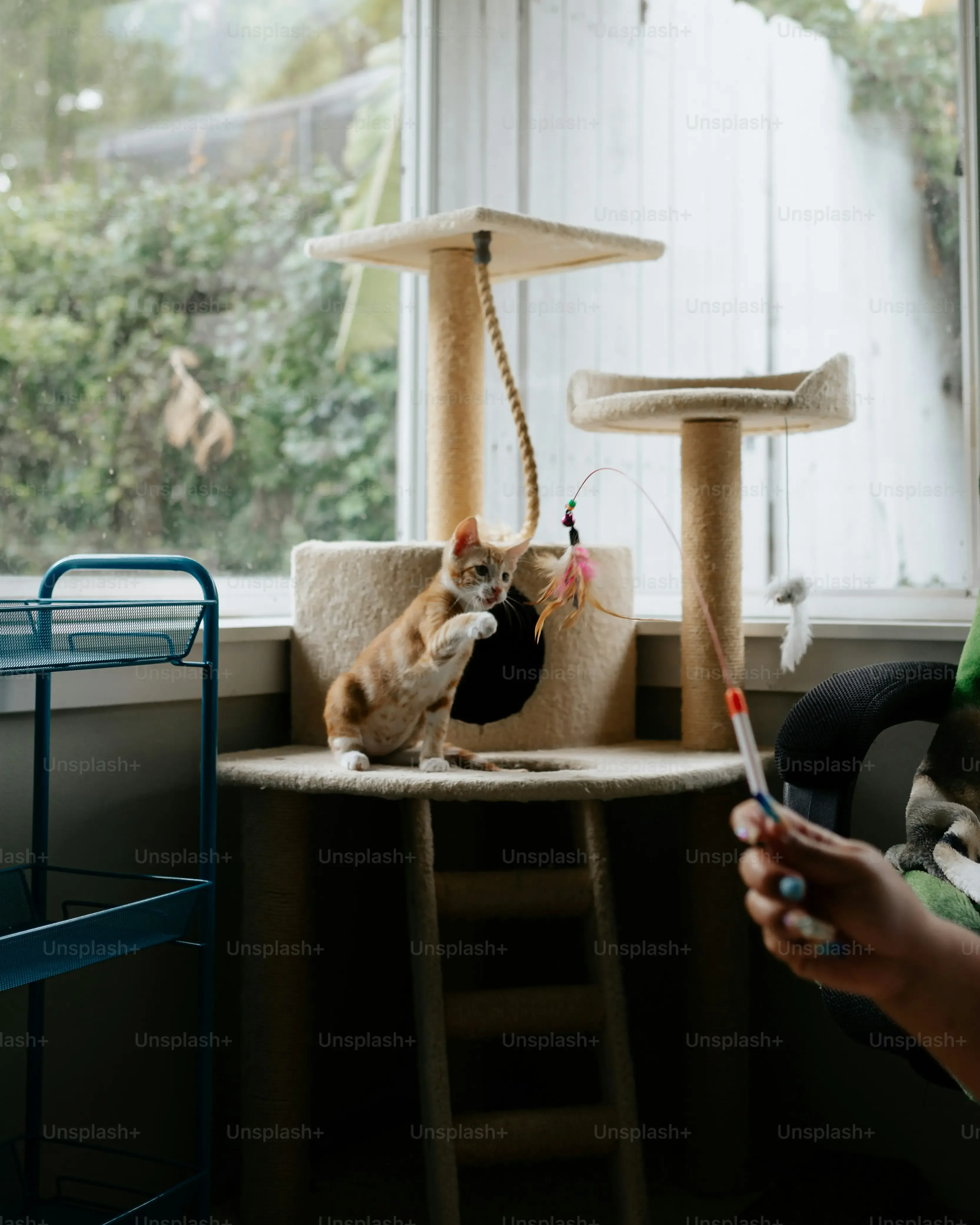 Beyond the Toy: Making Cardboard Play Zones and More