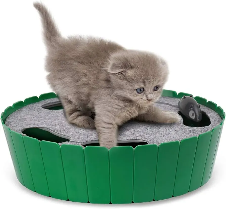 Amazing cat toy interactive mouse: Playtime magic