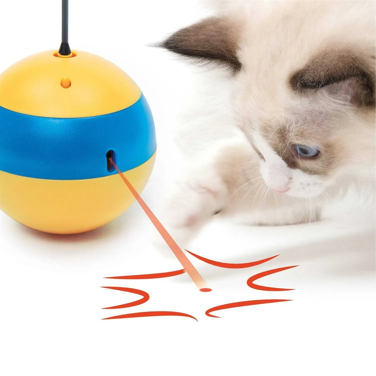 Discover the catit play spinning bee interactive cat toy