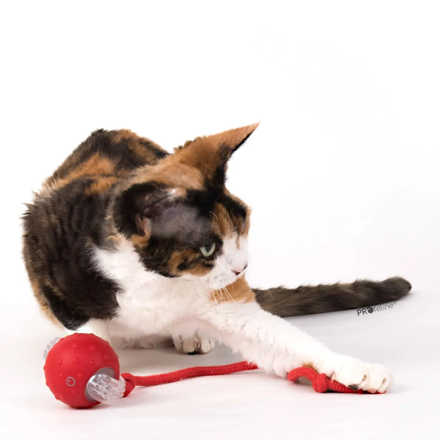Choosing the Right Smart Interactive Ball Toy for Your Pet