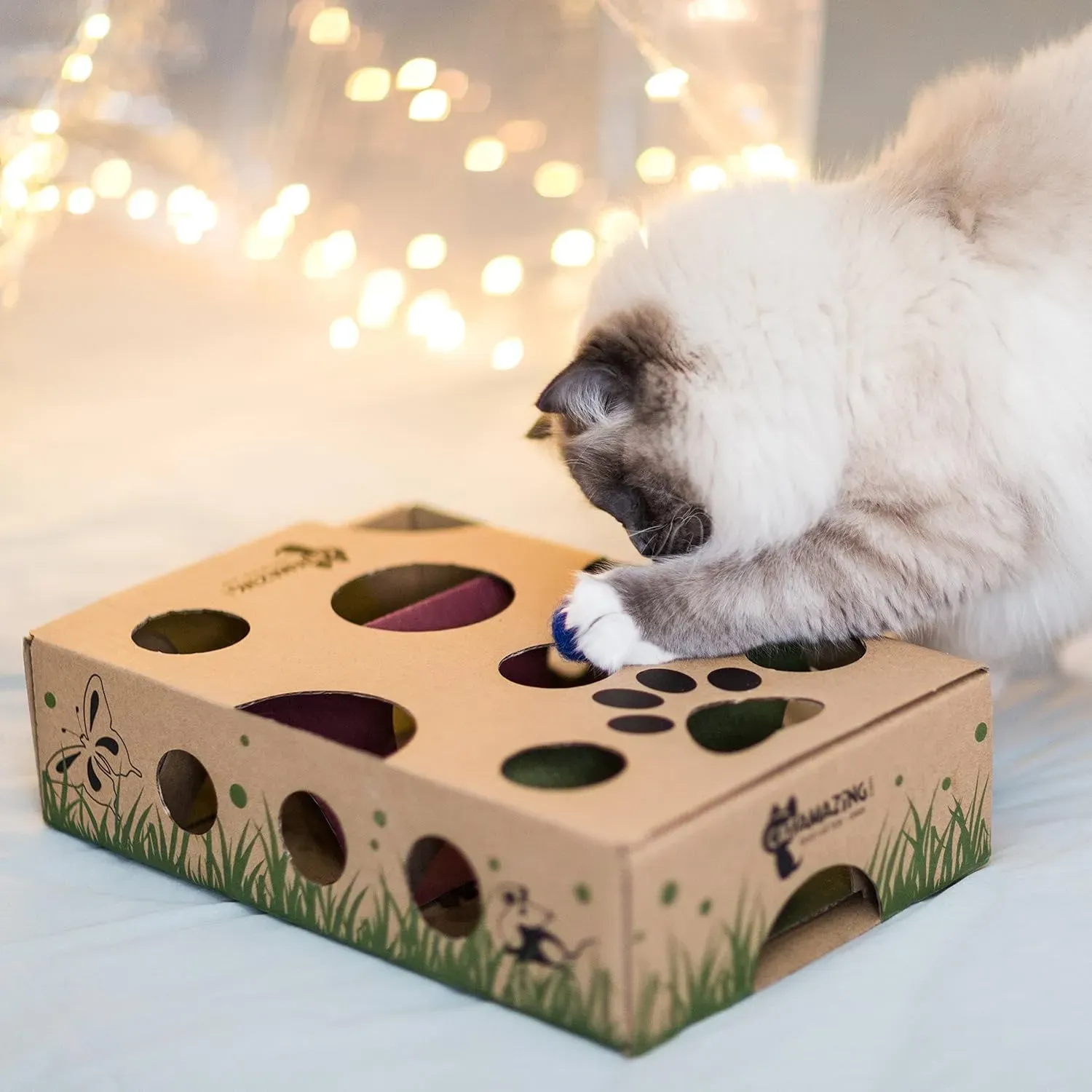 Common Questions About Feeder Toys