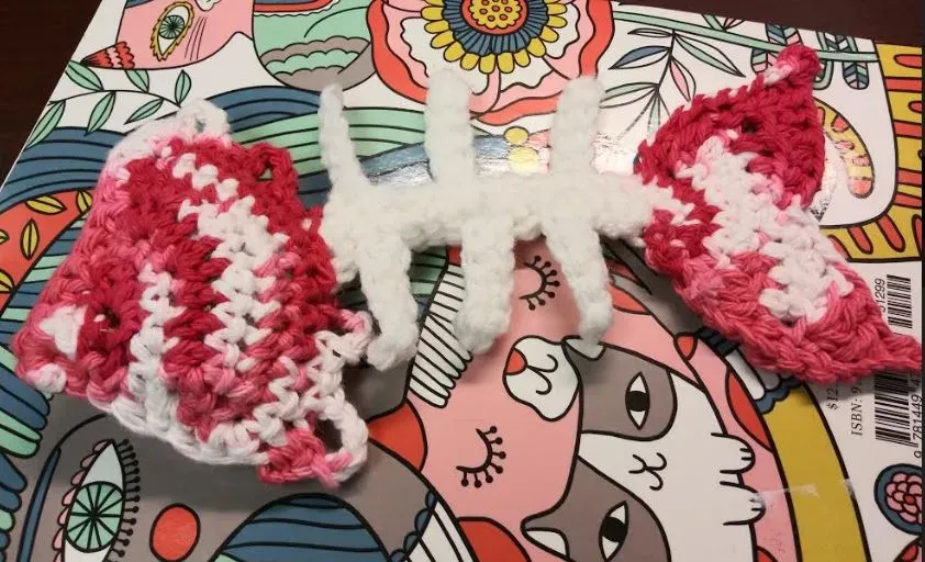 Common Questions When Crocheting a Fish Bone Cat Toy