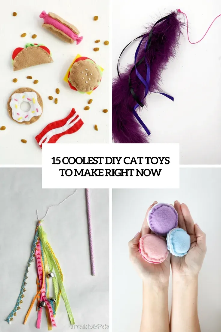 5 Awesome Cool Homemade Cat Toys Your Cat Needs Now