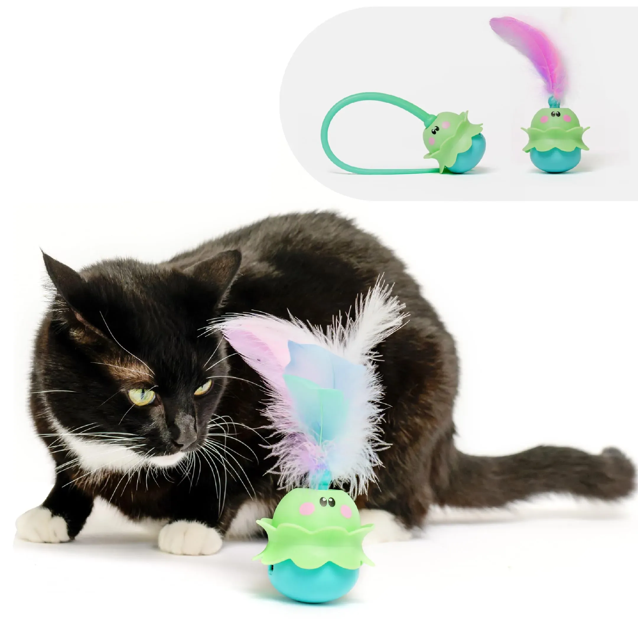 Deciding if the Cat's Meow Interactive Toy Fits Your Cat's Play Style