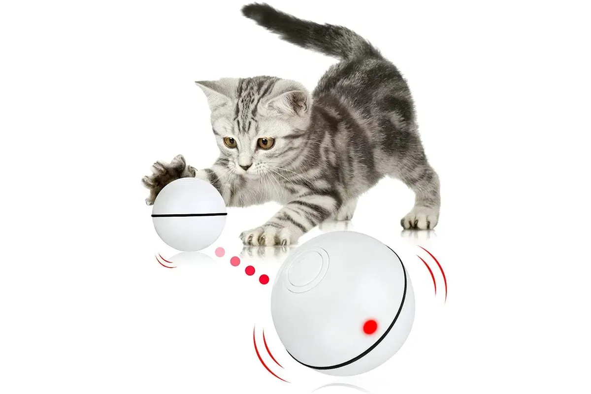 Different Types of Best Cat Self Play Toys to Consider
