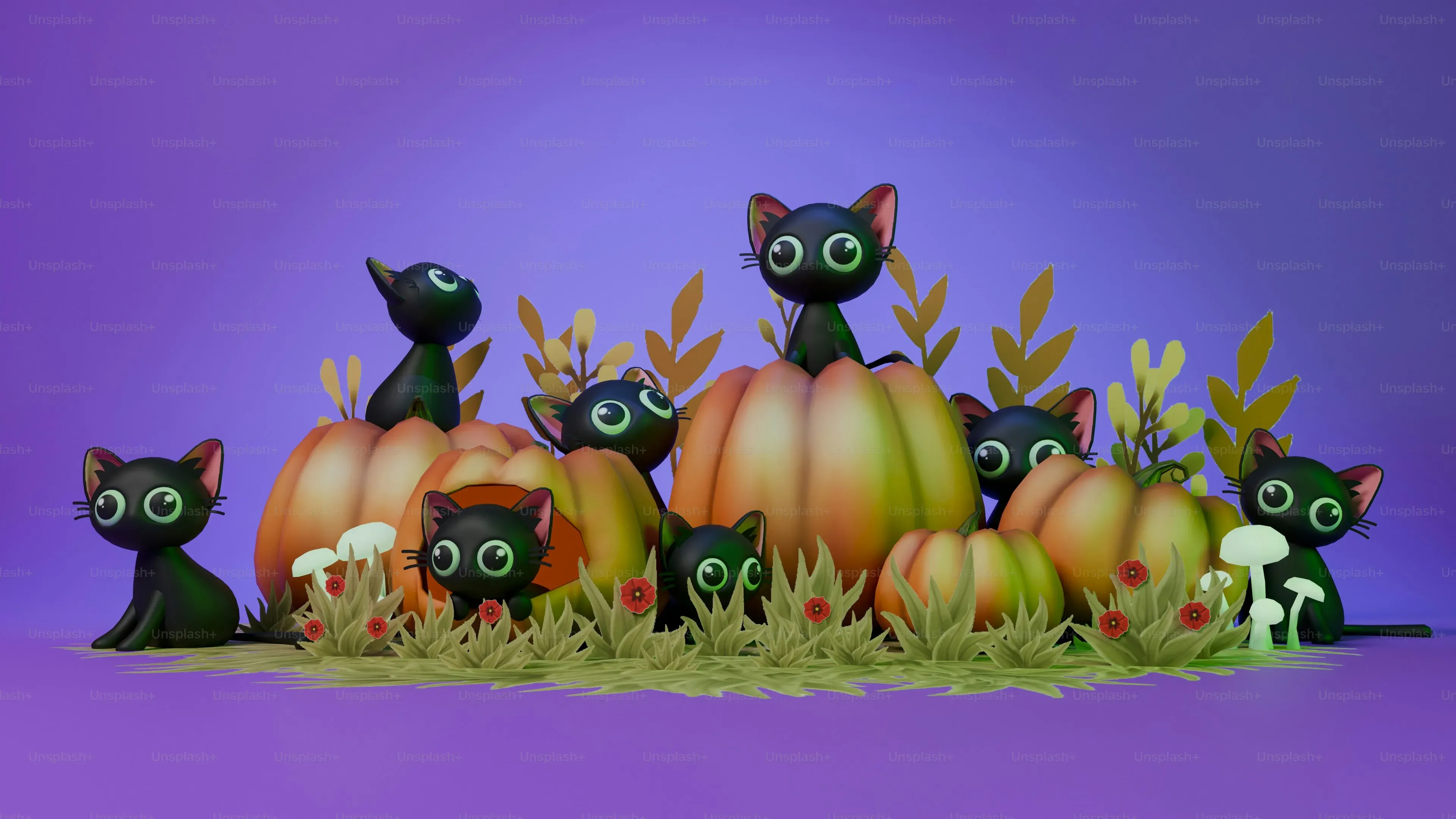 Different Types of Interactive Toys Cats Will Love