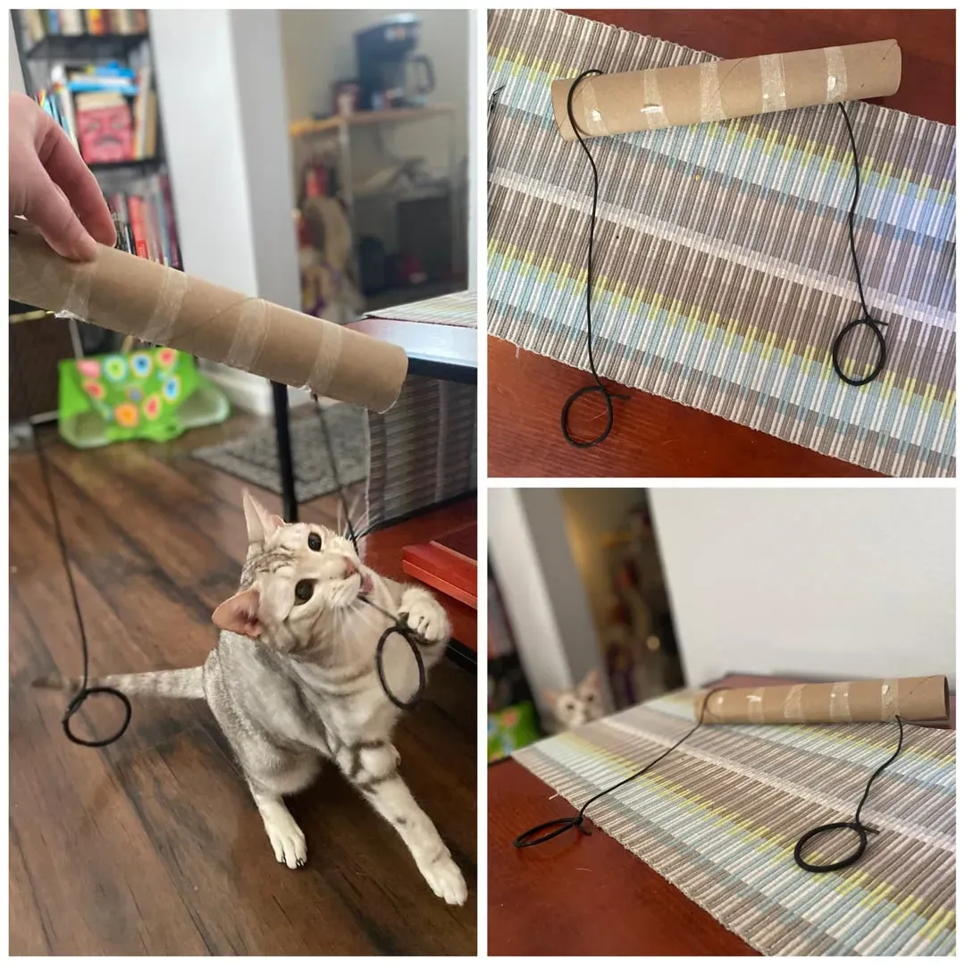 Simple DIY Cat String Toy Your Kitty Will Crave