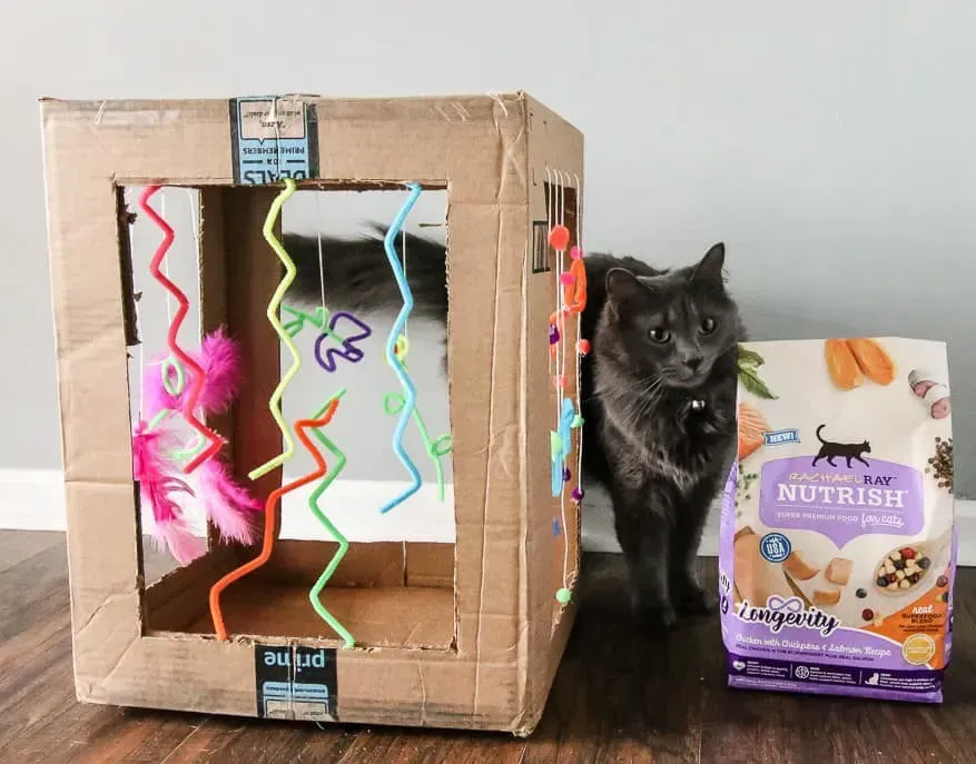 Best DIY Cat Toys Cardboard Ideas Your Cat Craves Now