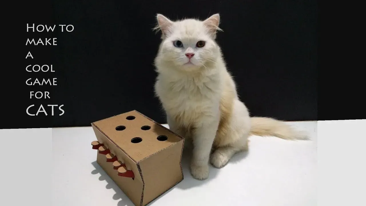 Amazing diy cat toys with cardboard: Fun & Engaging Ideas