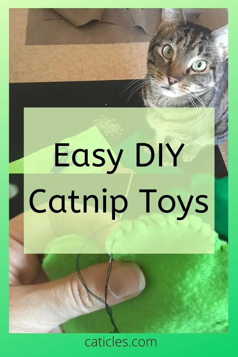 Discover Simple diy cat toys with catnip for instant fun
