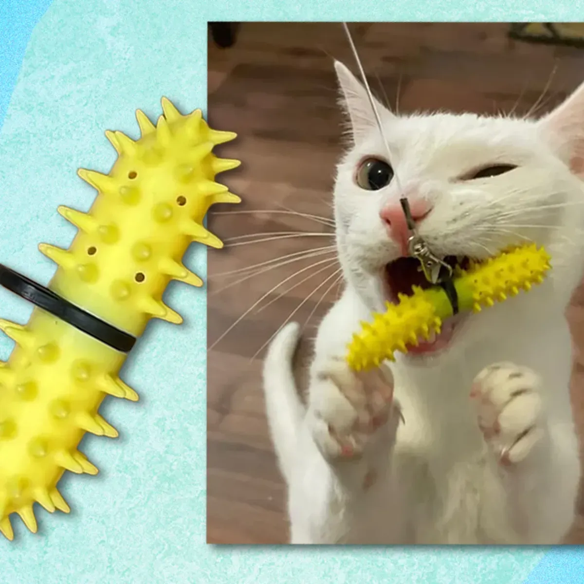 Do Dental Toys Really Clean Cat Teeth?