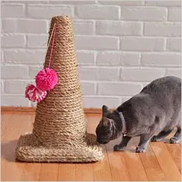 Donating Your Homemade Cat Toys to Shelters