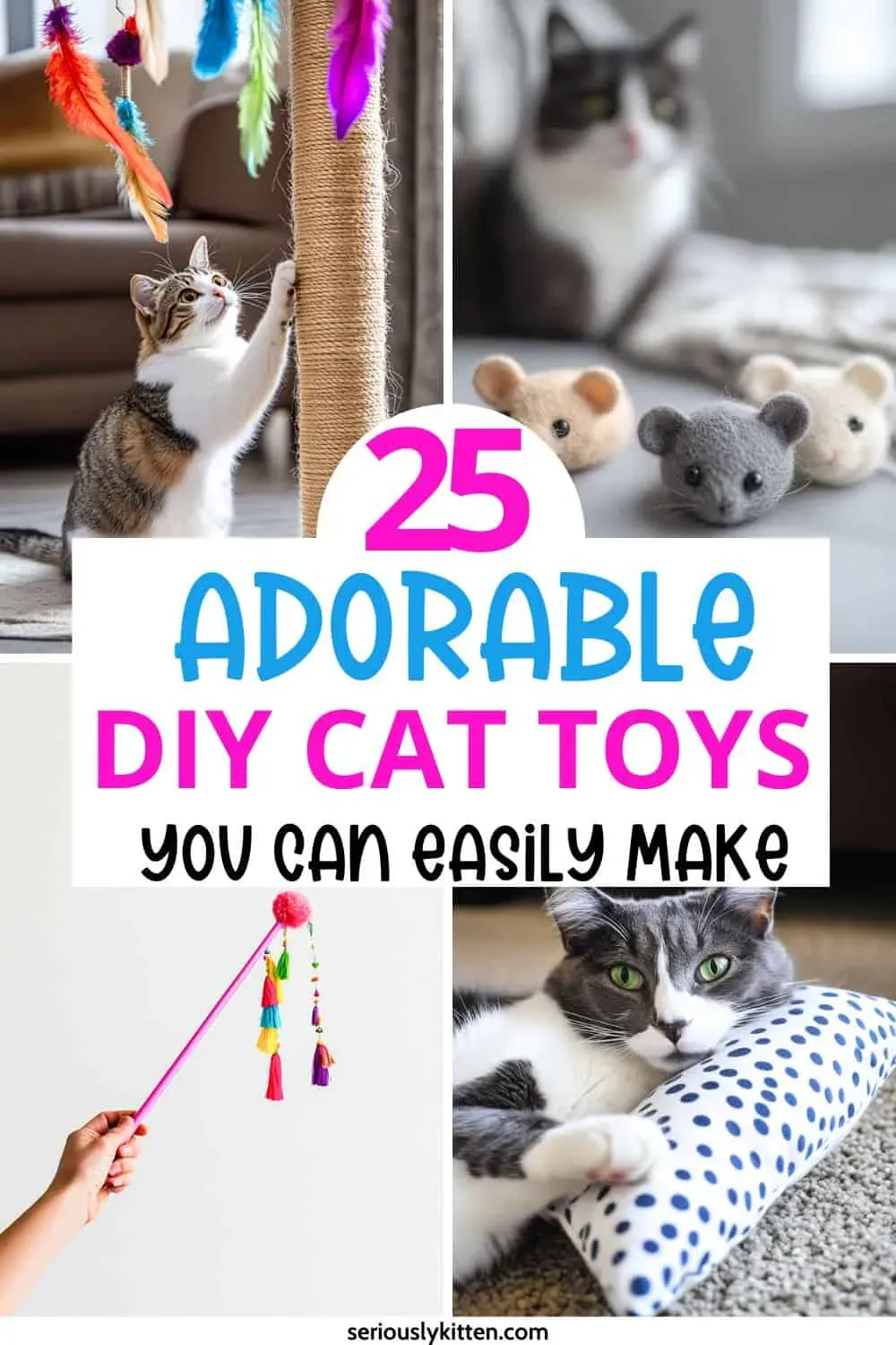 Easy DIY Cat Stimulation Toys Using Household Items