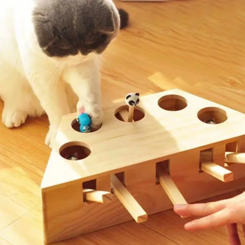 Easy DIY Interactive Cat Toys from Stuff You Already Have