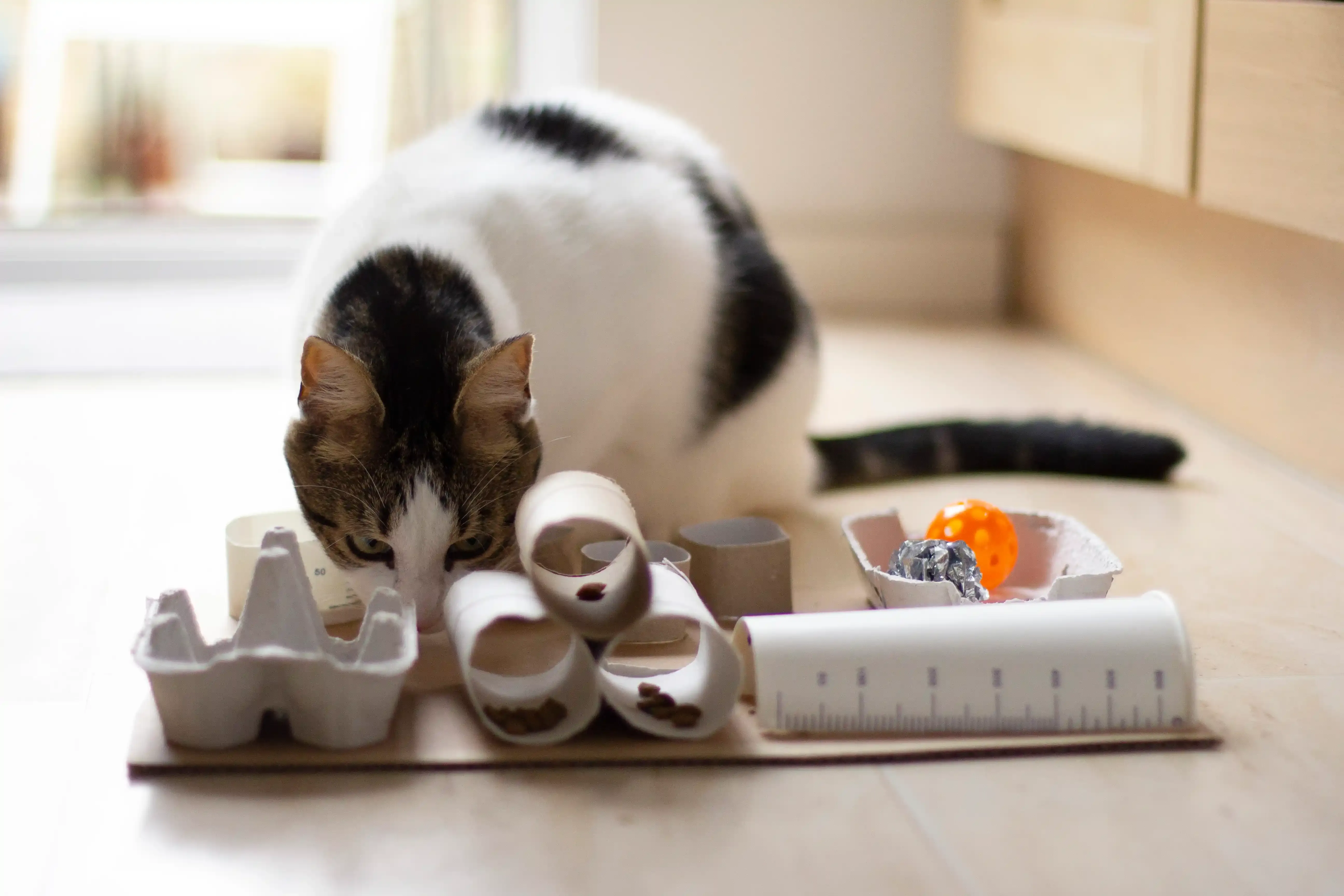 Easy Homemade Cat Puzzle Toys to Start With