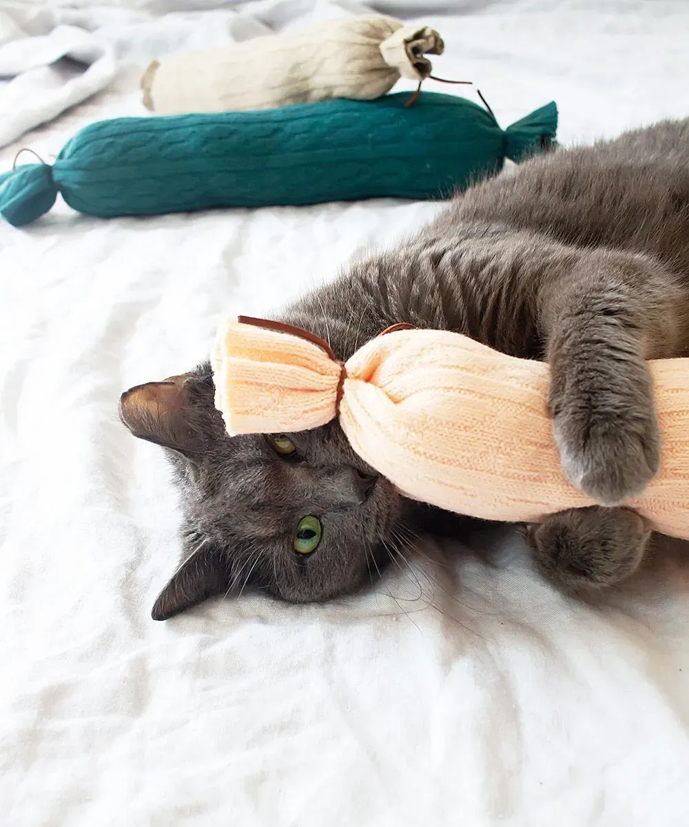 Easy Homemade Cat Toys: Simple Ideas from Pinterest