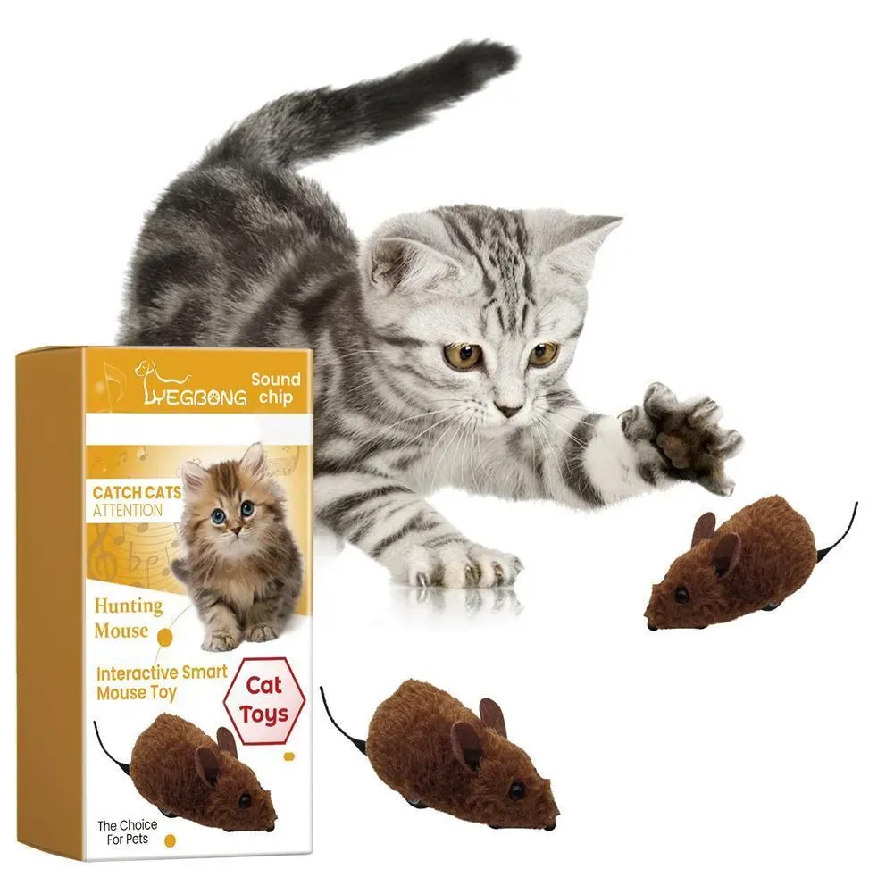 Discover Top ebay interactive cat toys: Essential Picks