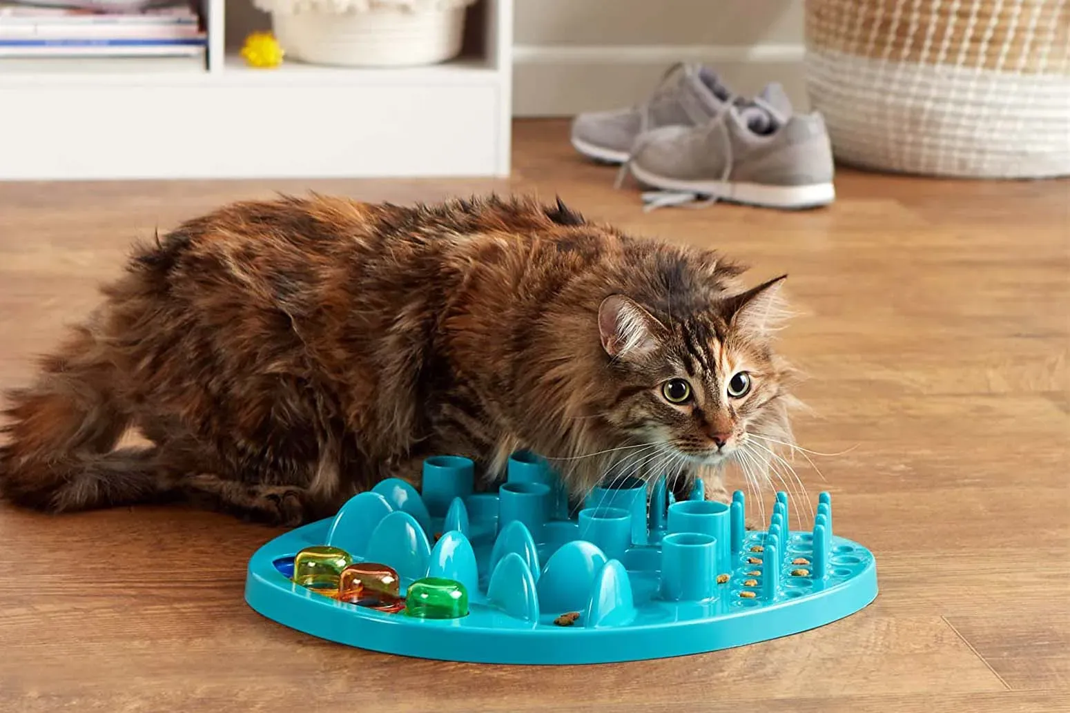 Finding the Best Cat Feeder Toys for Different Personalities