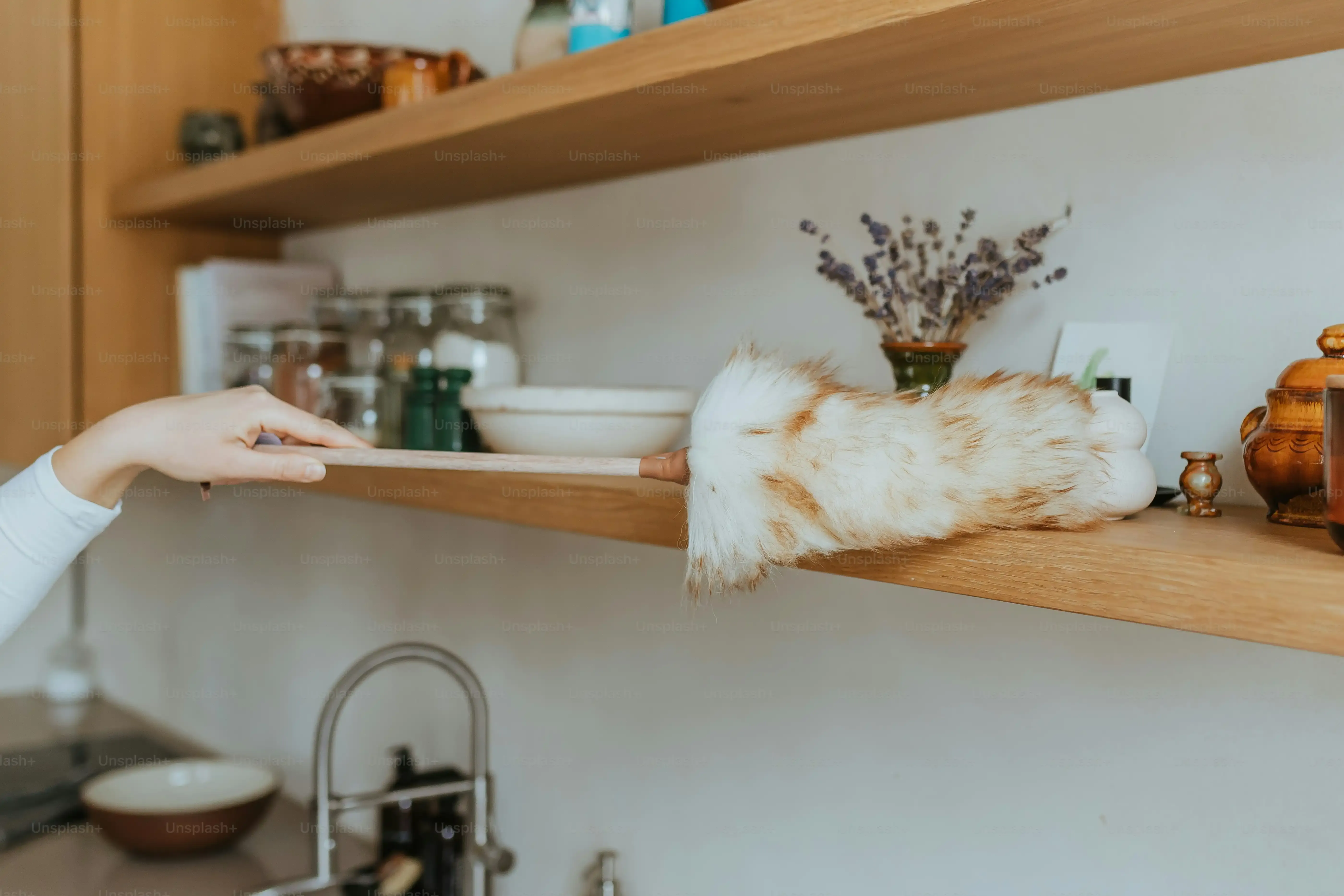 Getting Crafty: More Ideas for Easy Homemade Cat Toys