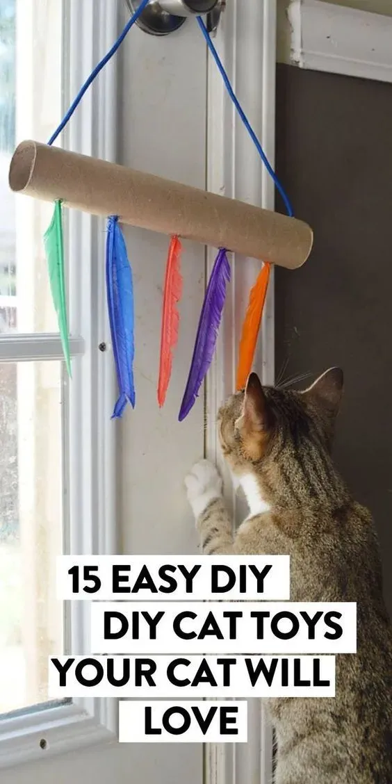 Getting Creative: More Homemade Cat Toys Easy Ideas