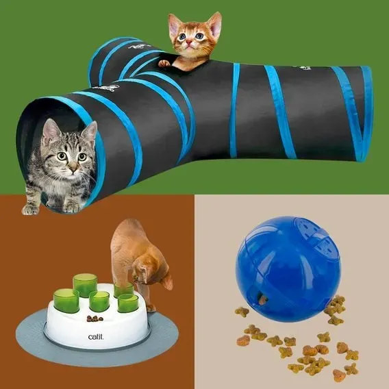 Getting the Most from Interactive Cat Toys for Bored Cats