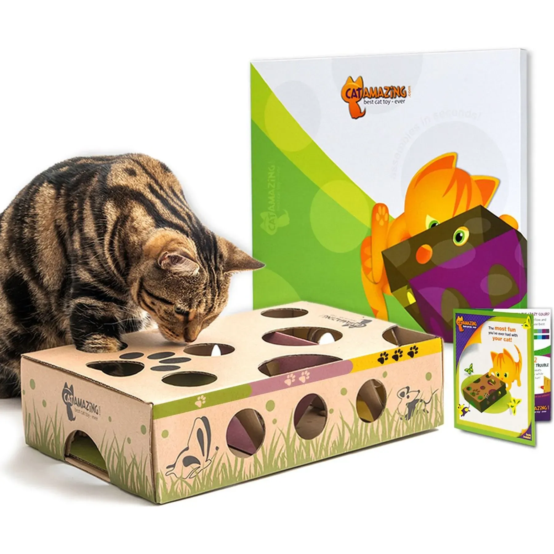 Getting Your Paws on Chewy.com Interactive Cat Toys