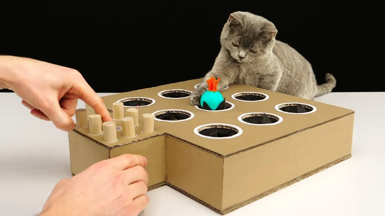Awesome homemade cardboard cat toys: Simple DIY ideas