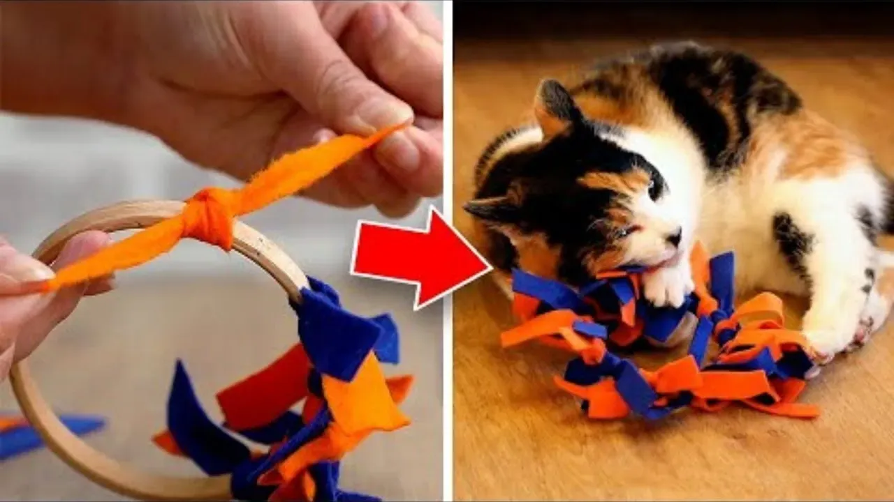 Brilliant homemade cat chew toys Your Kitty Will Love