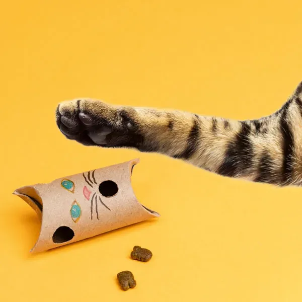 Creative homemade cat enrichment toys: Easy DIY fun