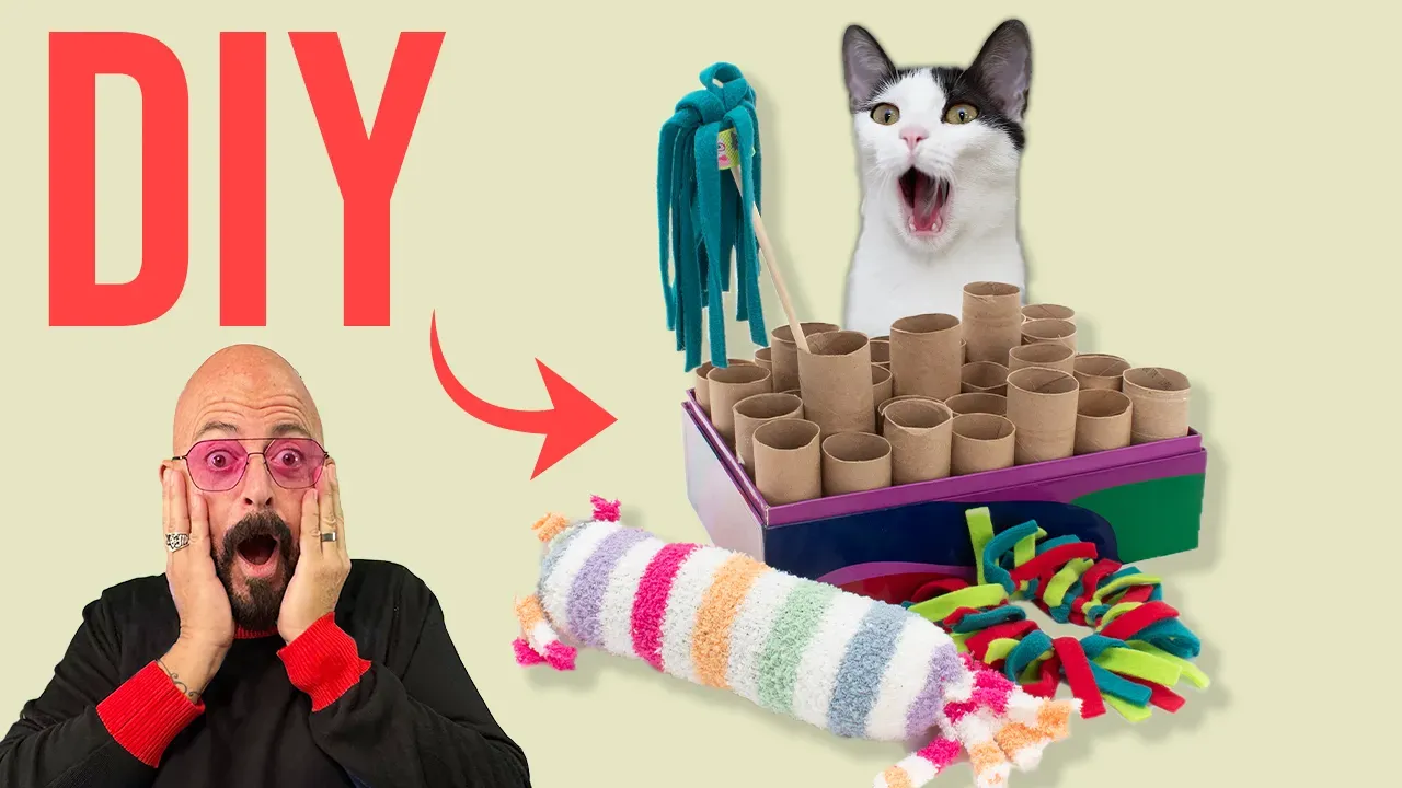 Create Amazing Homemade Cat Toys for Shelters