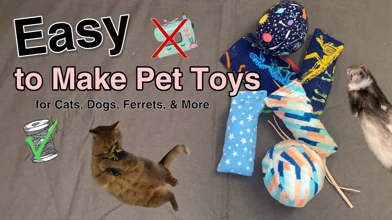 Easy homemade dog and cat toys: amazing DIY fun