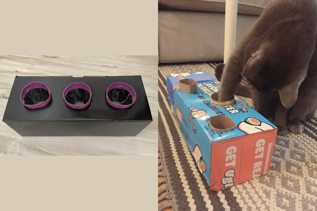 Amazing & Simple homemade enrichment toys for cats