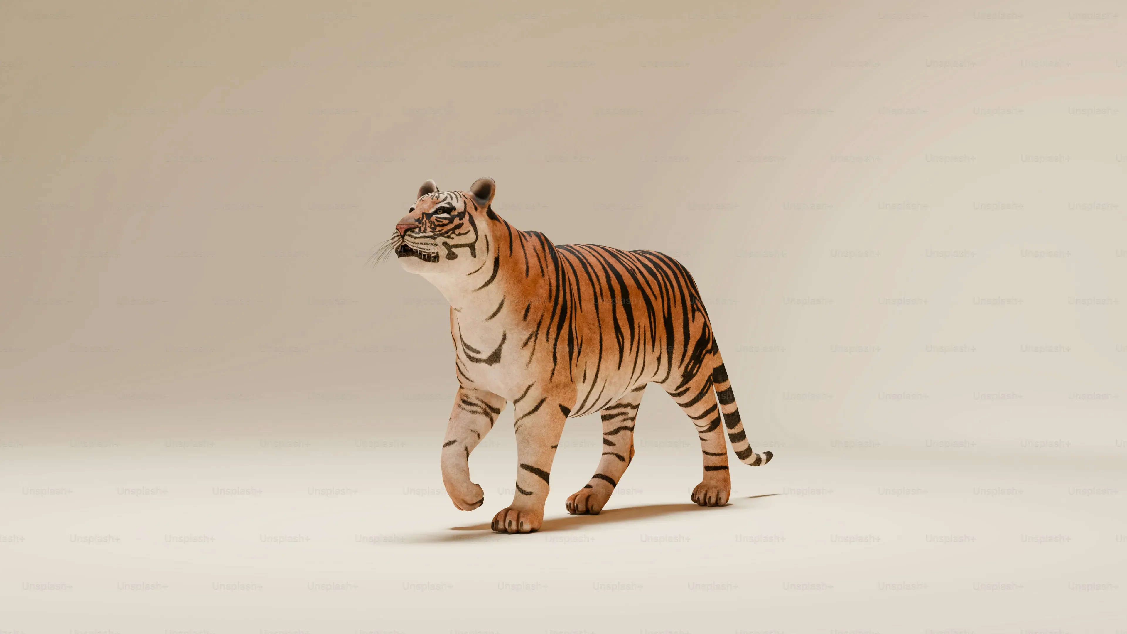 How to Choose and Use the Best Interactive Toys for Your Bengal