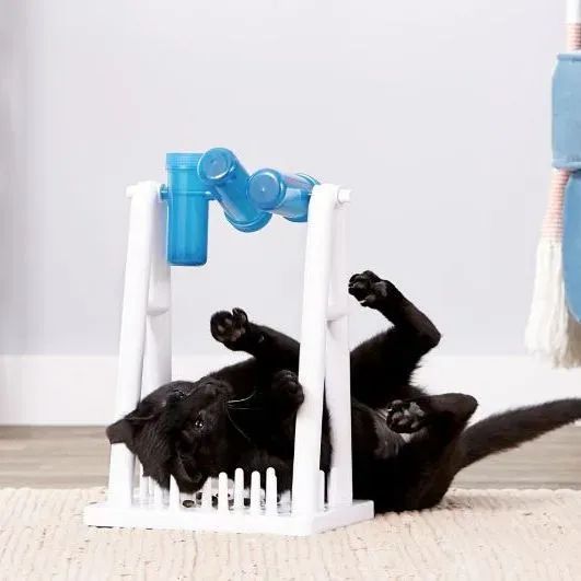 How to Introduce the Best Cat Feeder Toys to a Picky Cat